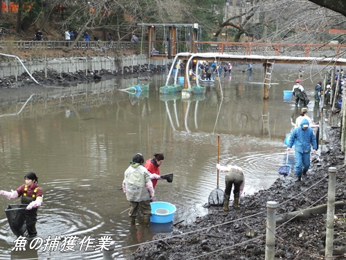 井の頭恩賜公園にて