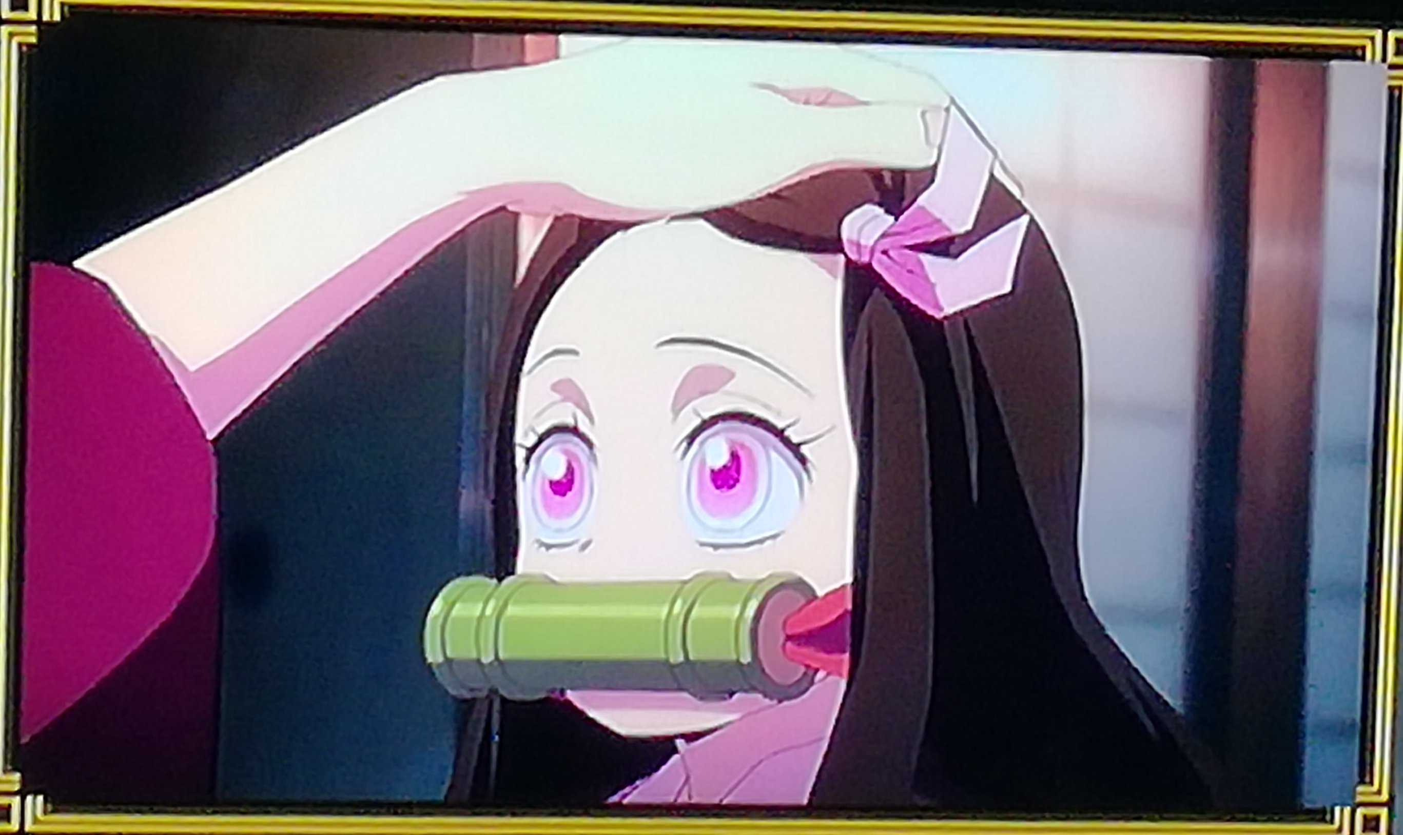 杏子の今日この頃