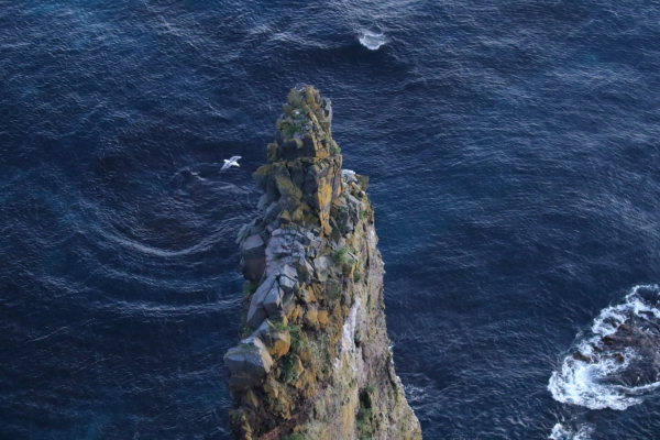 天売島4.JPG