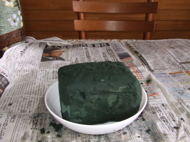 DSCF1095.JPG