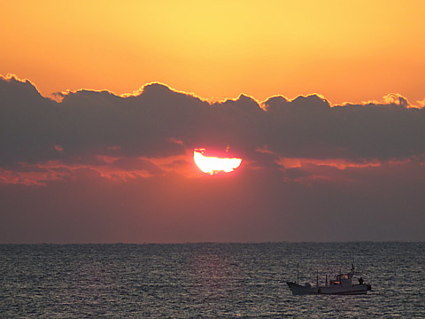 IMG_0812.jpg