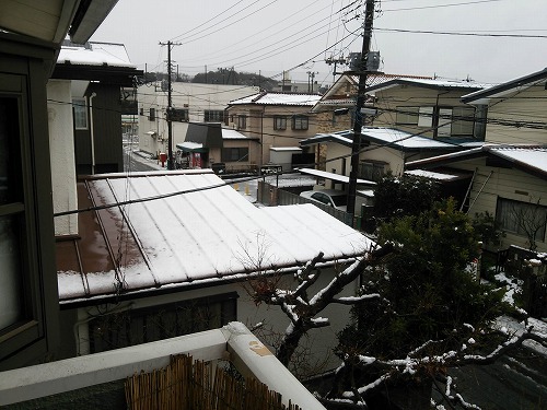 2016年の雪