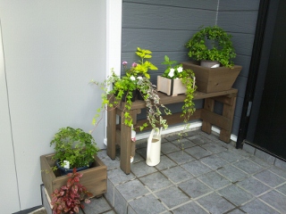 DSC_0145 (320x240).jpg