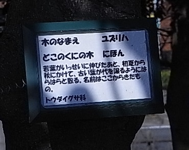 ゆずりはプレート