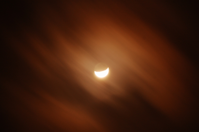 D40 117.jpg