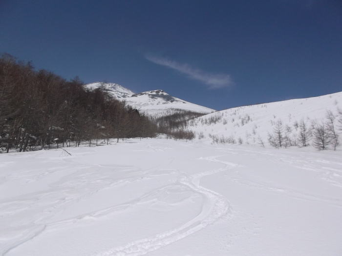 0312m.jpg