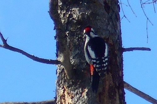 DSCN2901.JPG