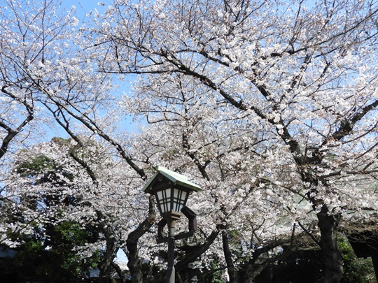 靖國神社