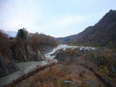P1030117.jpg