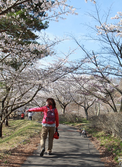 150419_23.jpg