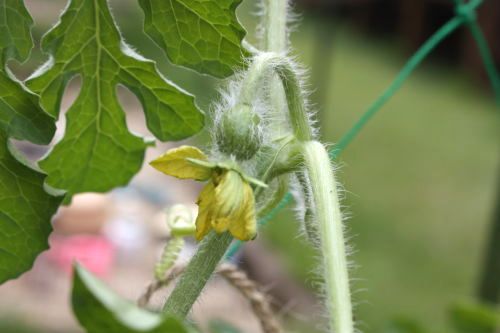 20150606-102.jpg