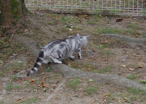 DSC_0094.JPG