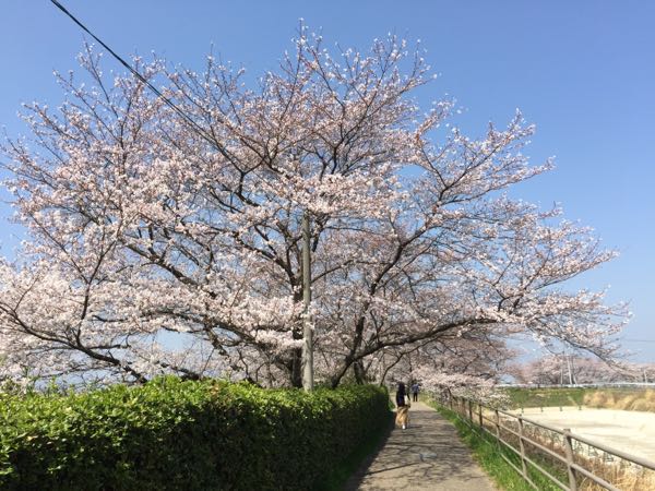 rblog-20180329055248-03.jpg