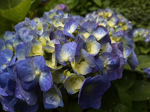 120609_130553.jpg