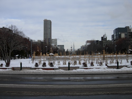 DSCN2953.JPG