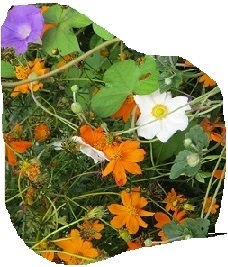 花２１.jpg