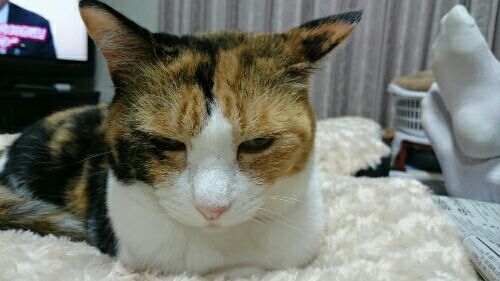 rblog-20170131001008-02.jpg