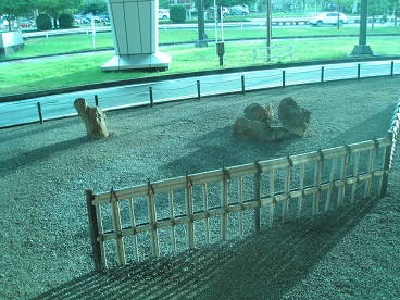 成田のおもてなし2.jpg