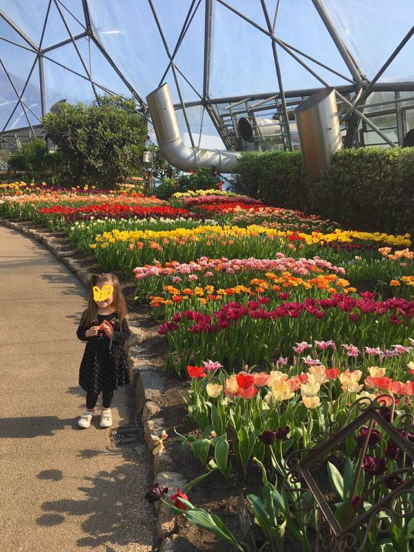 rblog-20190328200906-02.jpg