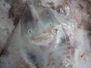 2012-06-24 10.03.57.jpg