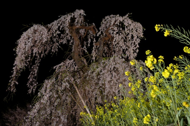 120416b