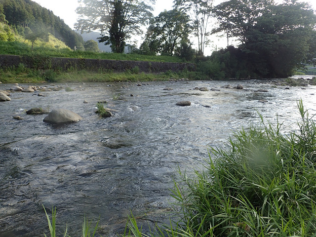 resize0008.jpg