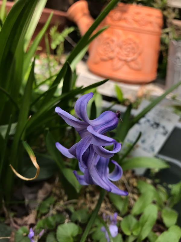 rblog-20190329184257-06.jpg