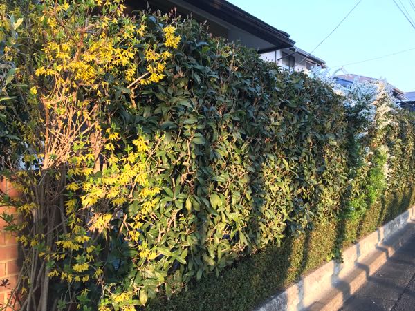 rblog-20180325184332-07.jpg