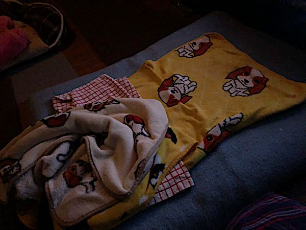 rblog-20180315161956-10.jpg