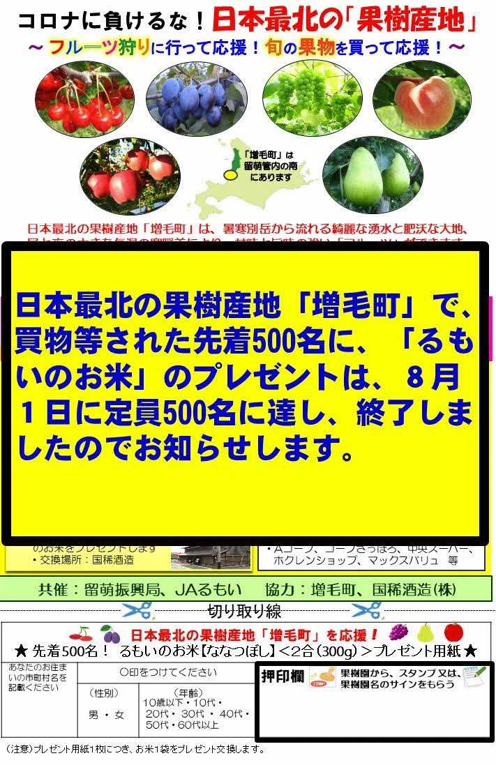 コロナに負けるな 日本最北の果樹産地 増毛町 フルーツ狩りに行って応援 旬の果物を買って応援 北海道庁のブログ 超 旬ほっかいどう 楽天ブログ