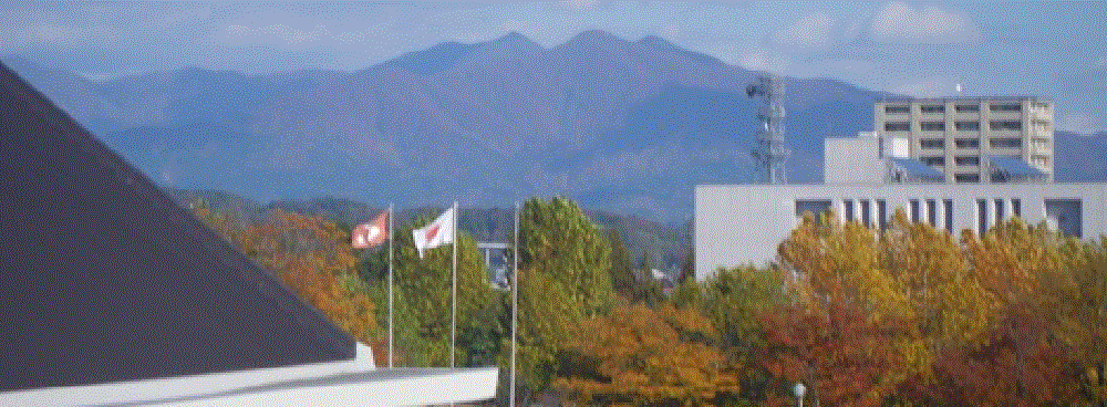 わたしのブログ