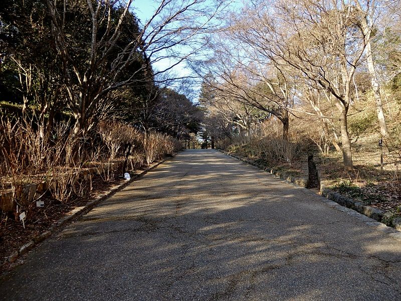 あじさい坂10