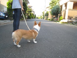 IMG_0802.JPG