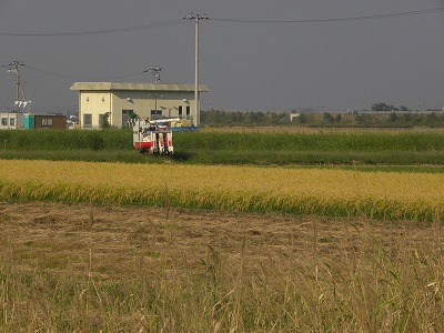 DSCN0177.jpg