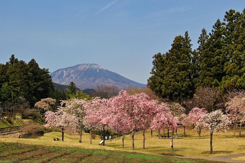 2.チョウの丘から男体山を.JPG