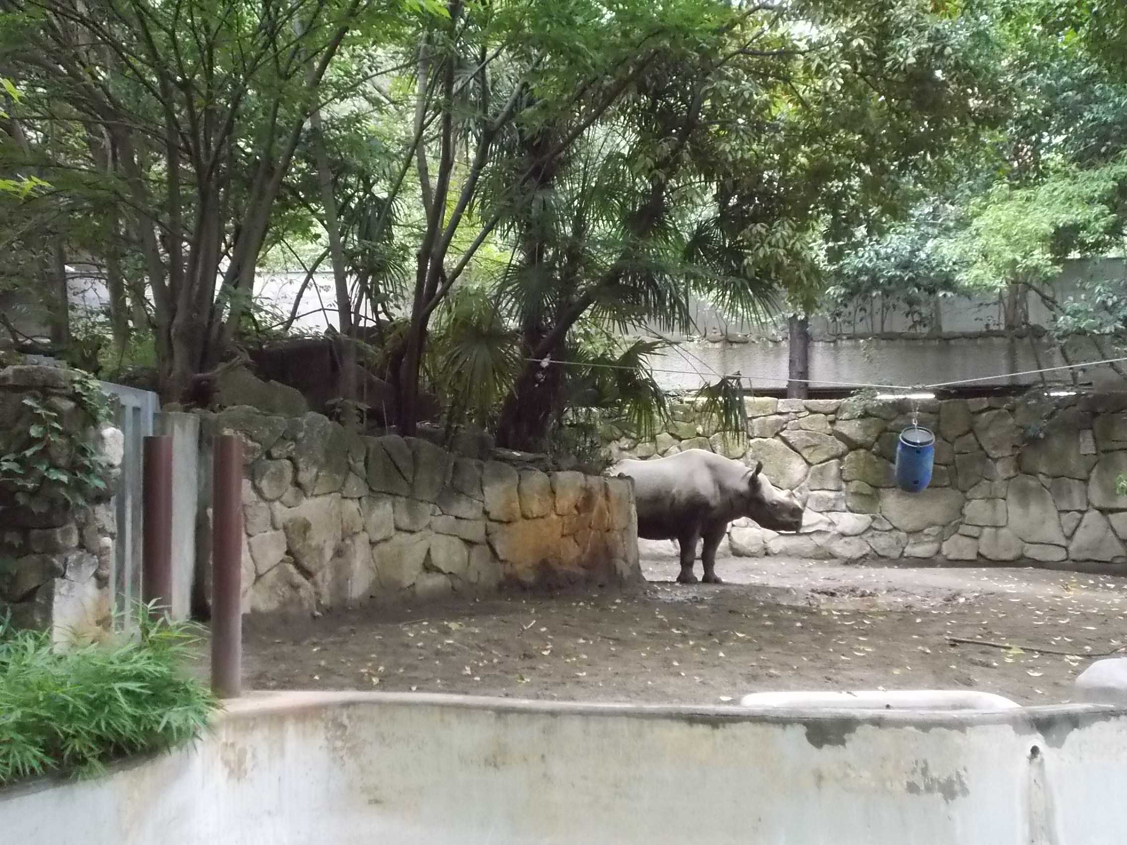 上野動物園の動物 パンダ カバ サイ観覧 ラスベガス ロサンゼルスの旅 楽天ブログ