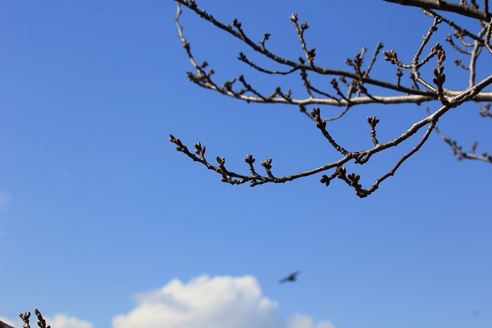 2015.2.134.jpg