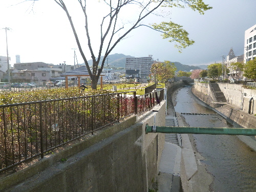 P1100129(1).JPG