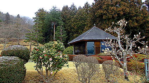 P3263051h3.jpg