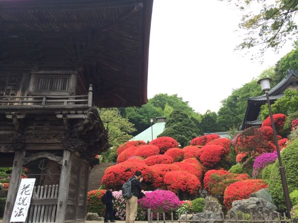 rblog-20160423090905-01.jpg