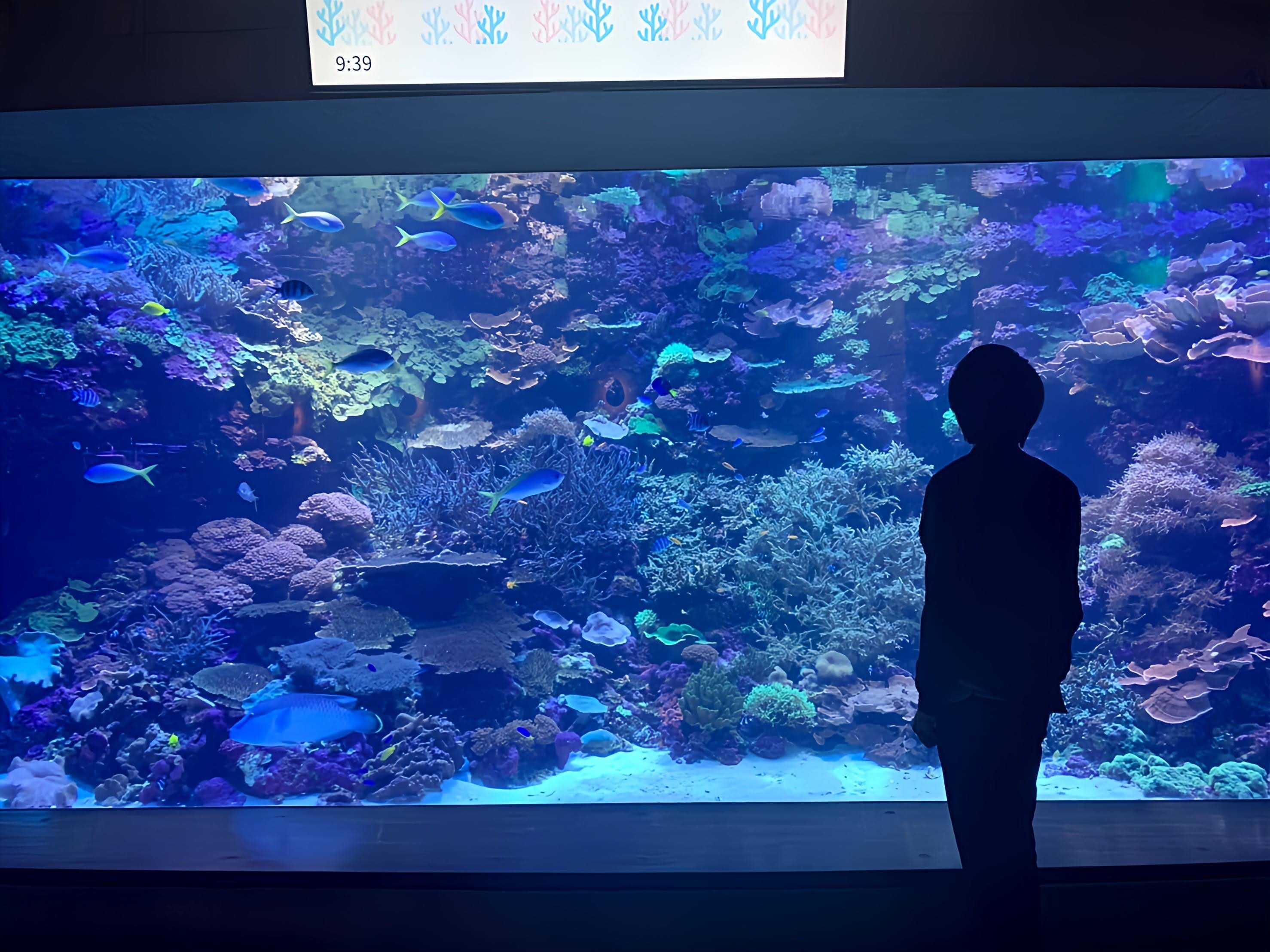 病気からの2度目の人生