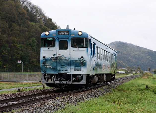 1 D810.jpg