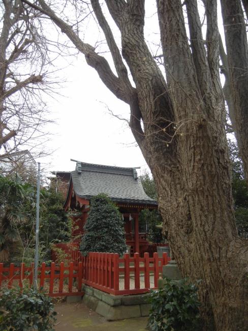 DSCN6786.JPG