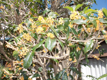 DSCN5845.jpg