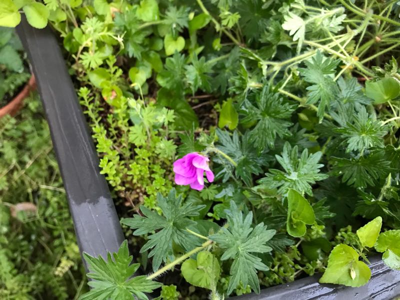 rblog-20180428185412-06.jpg