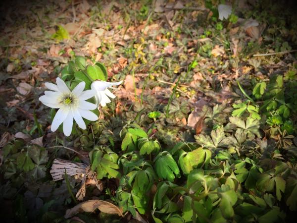 rblog-20160326160241-07.jpg