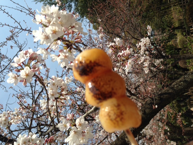 花より団子.JPG