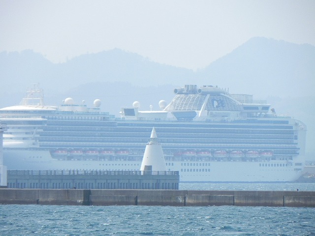 DSCN2724.jpg