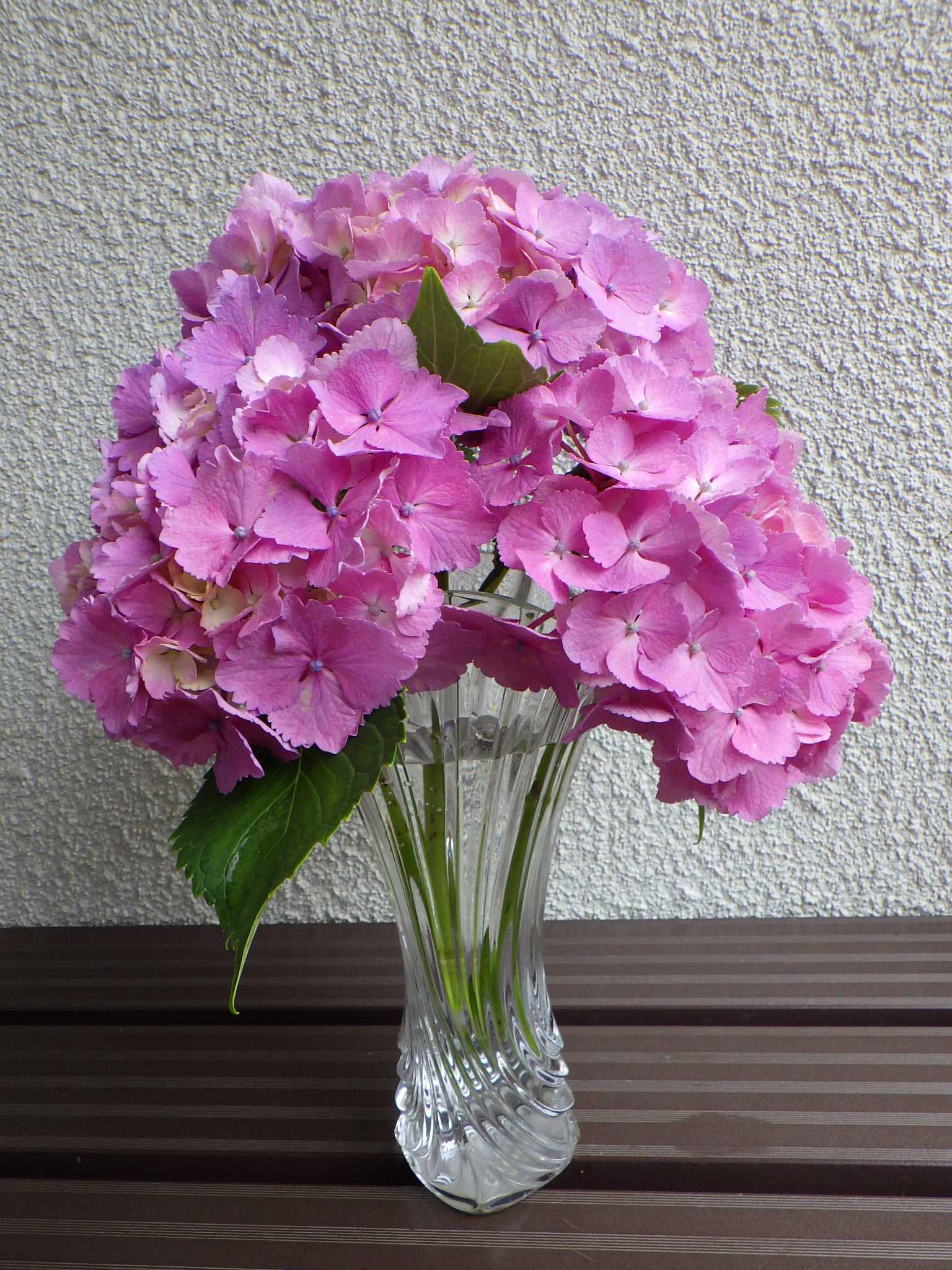 梅雨前に満開になったアジサイを少し花瓶に生けました バラを咲かせることが好き 楽天ブログ