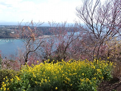 20140307下田湾